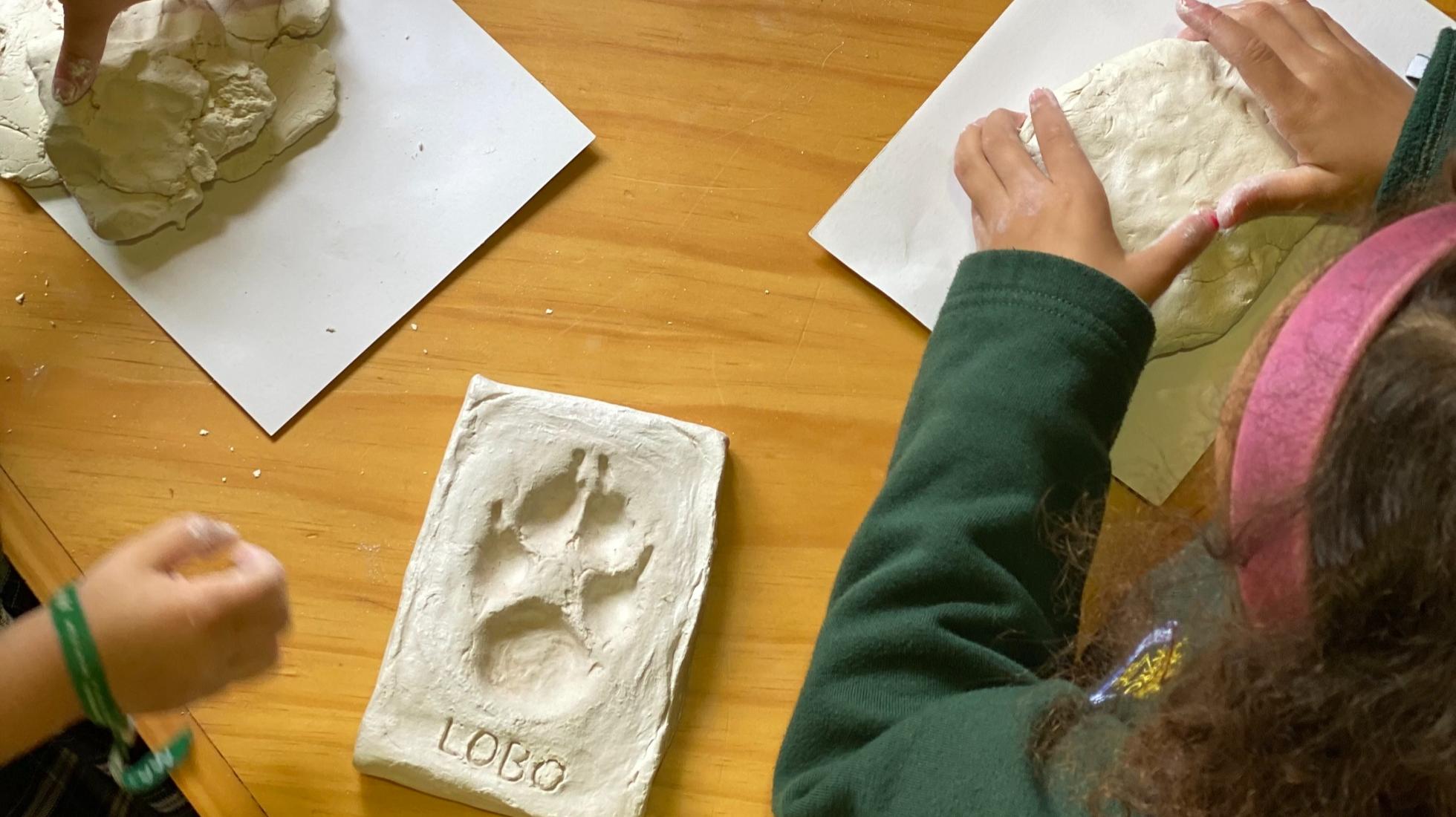 Environmental Education